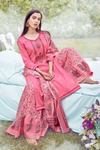 Embroidered Cotton Sharara Suit - Rose
