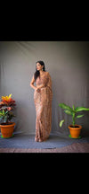 Bronze Color Chikankari Chiffon Embellished Designer Saree